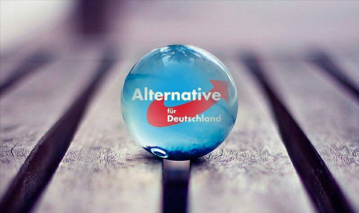 AfD stellt Bayern-Wahlprogramm vor: Einbürgerung nur für nützliche Ausländer