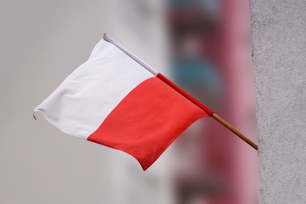 Überfällige Antwort an Warschau: AfD-Abgeordneter will 1,3 Billionen Euro von Polen