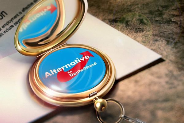 Mission Regierungsübernahme: AfD richtet interne Arbeitsgruppe ein